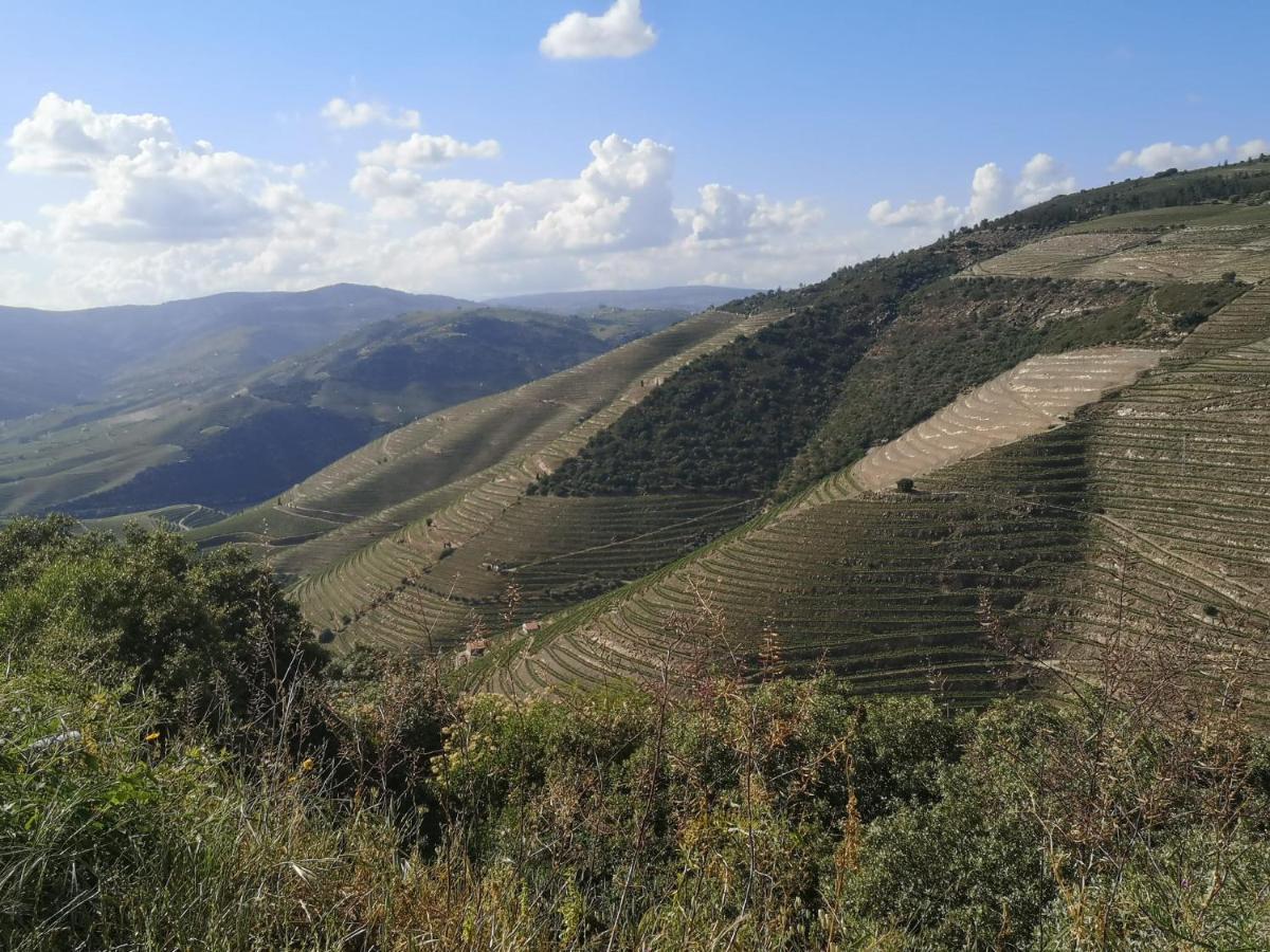 Douro Valley - Casa da Praça Ervedosa do Douro Dış mekan fotoğraf
